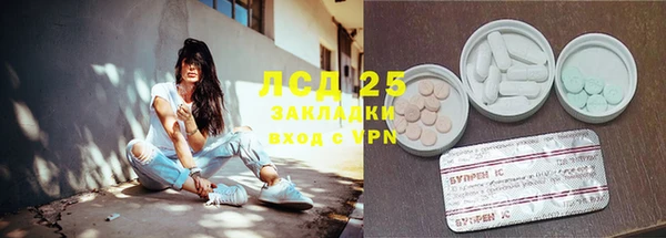 гашик Беломорск