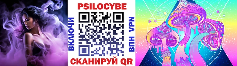 Галлюциногенные грибы Psilocybe блэк спрут Козьмодемьянск где можно купить наркотик